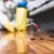 Gaithersburg Cockroach Extermination by Hughes Termite & Pest Control